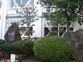 DVC00485_thumb.png