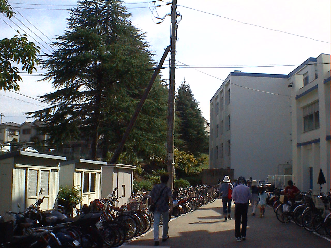 DVC00486.JPG