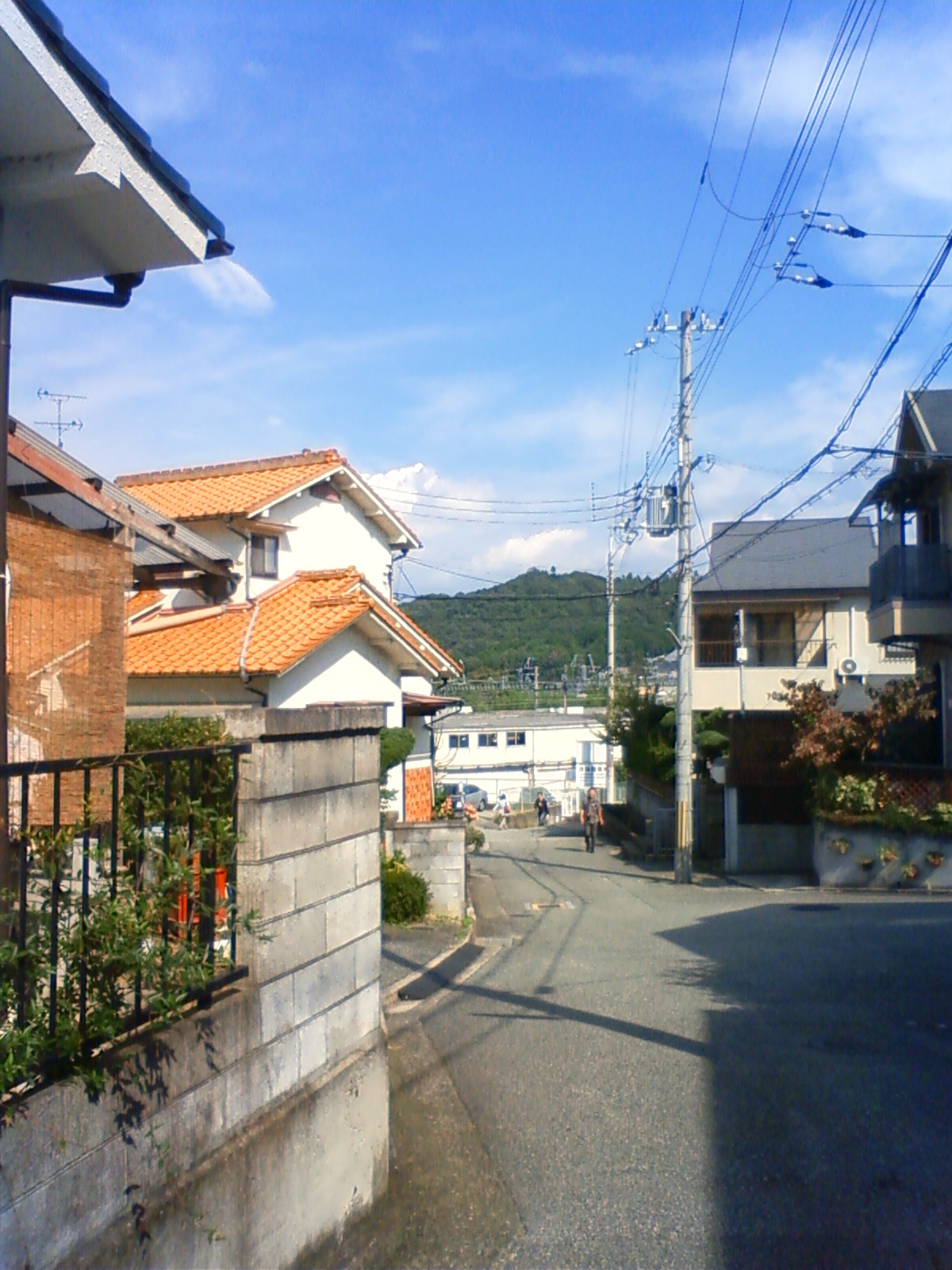 NEC_1276.JPG