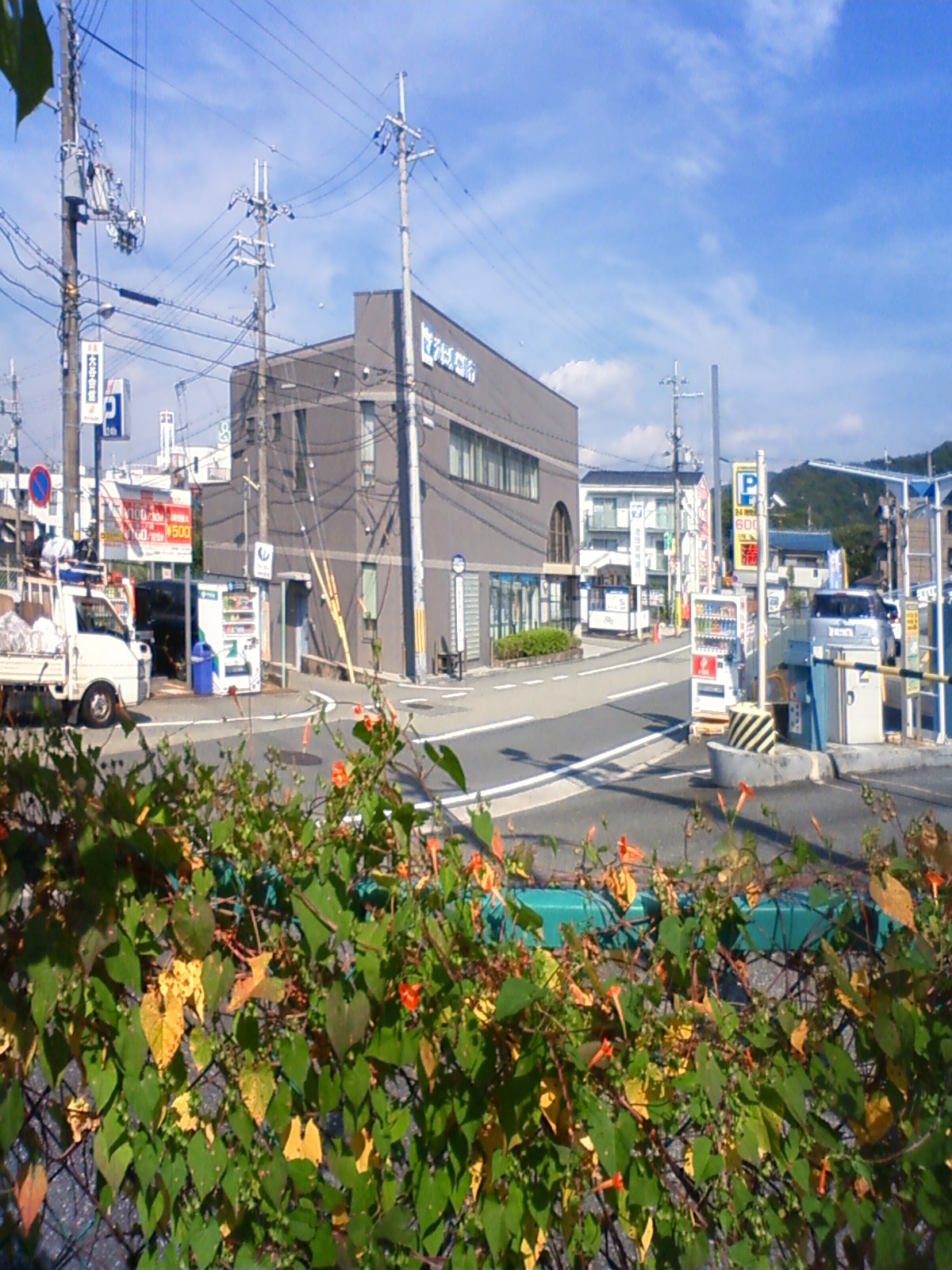NEC_1283.JPG