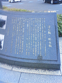 NEC_2745_thumb.png