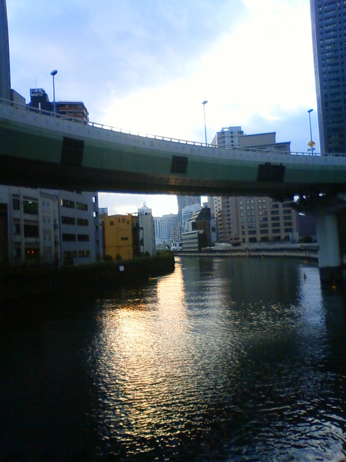 NEC_2654.JPG