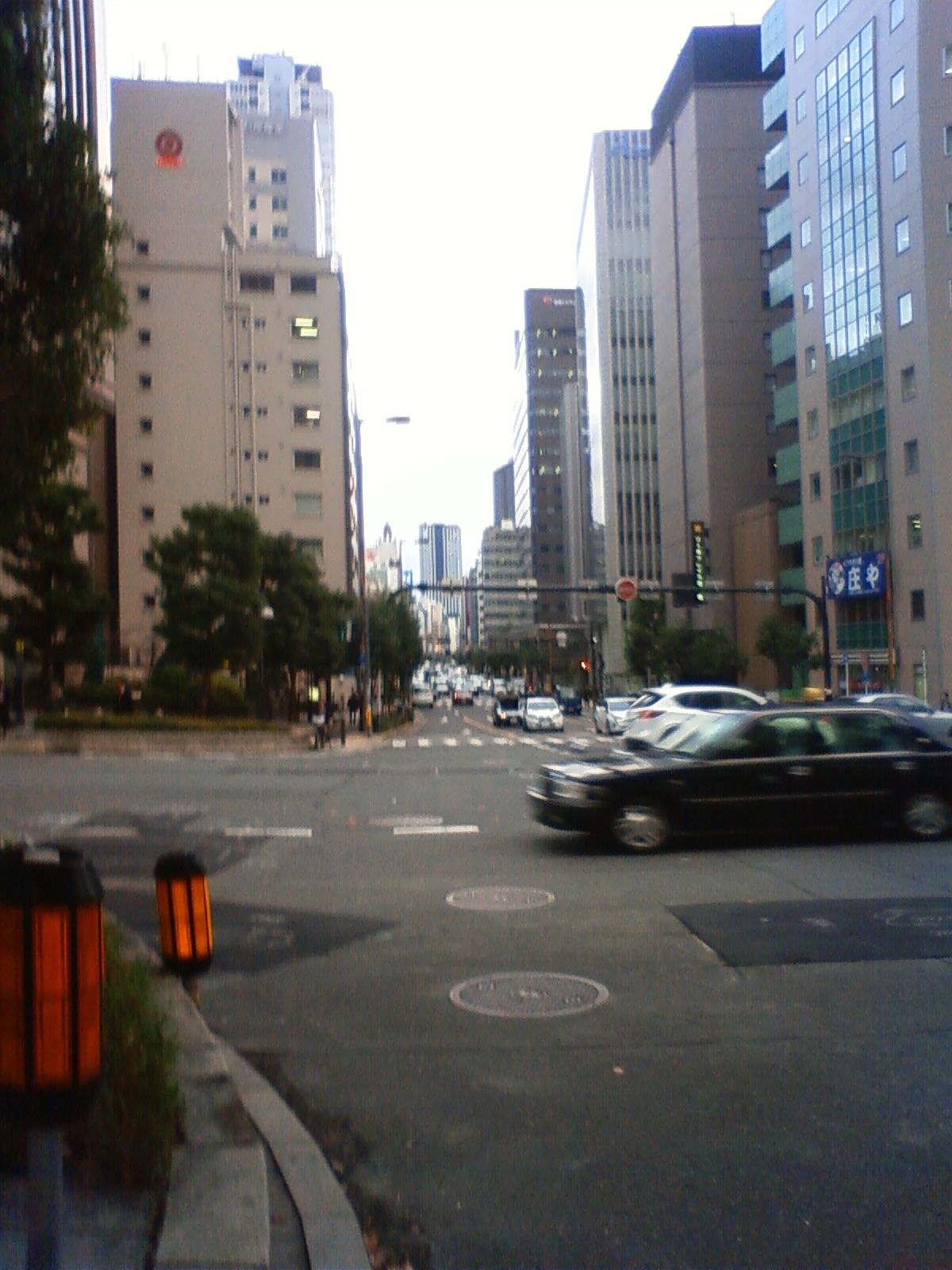 NEC_2658.JPG