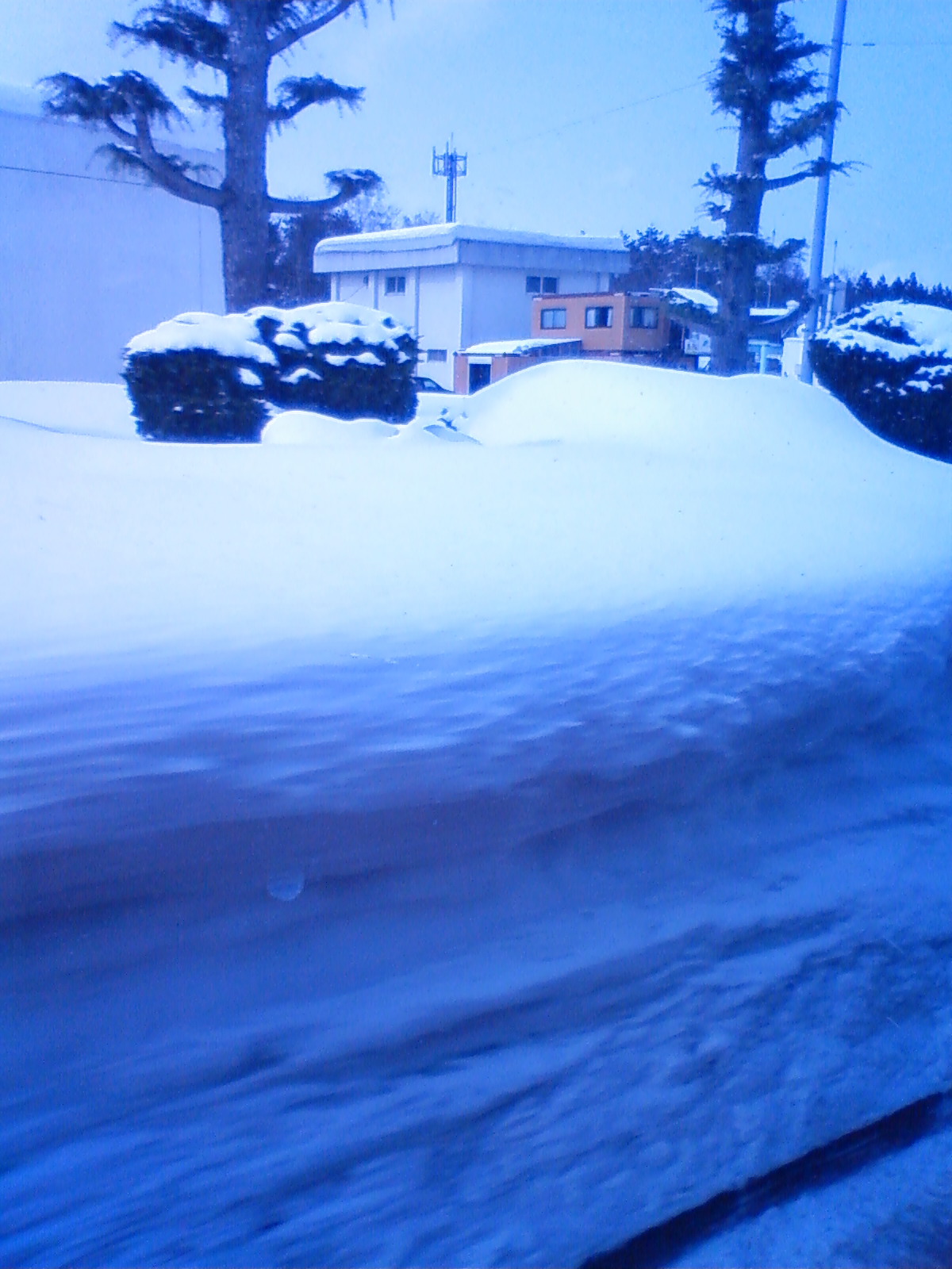 NEC_0363.JPG