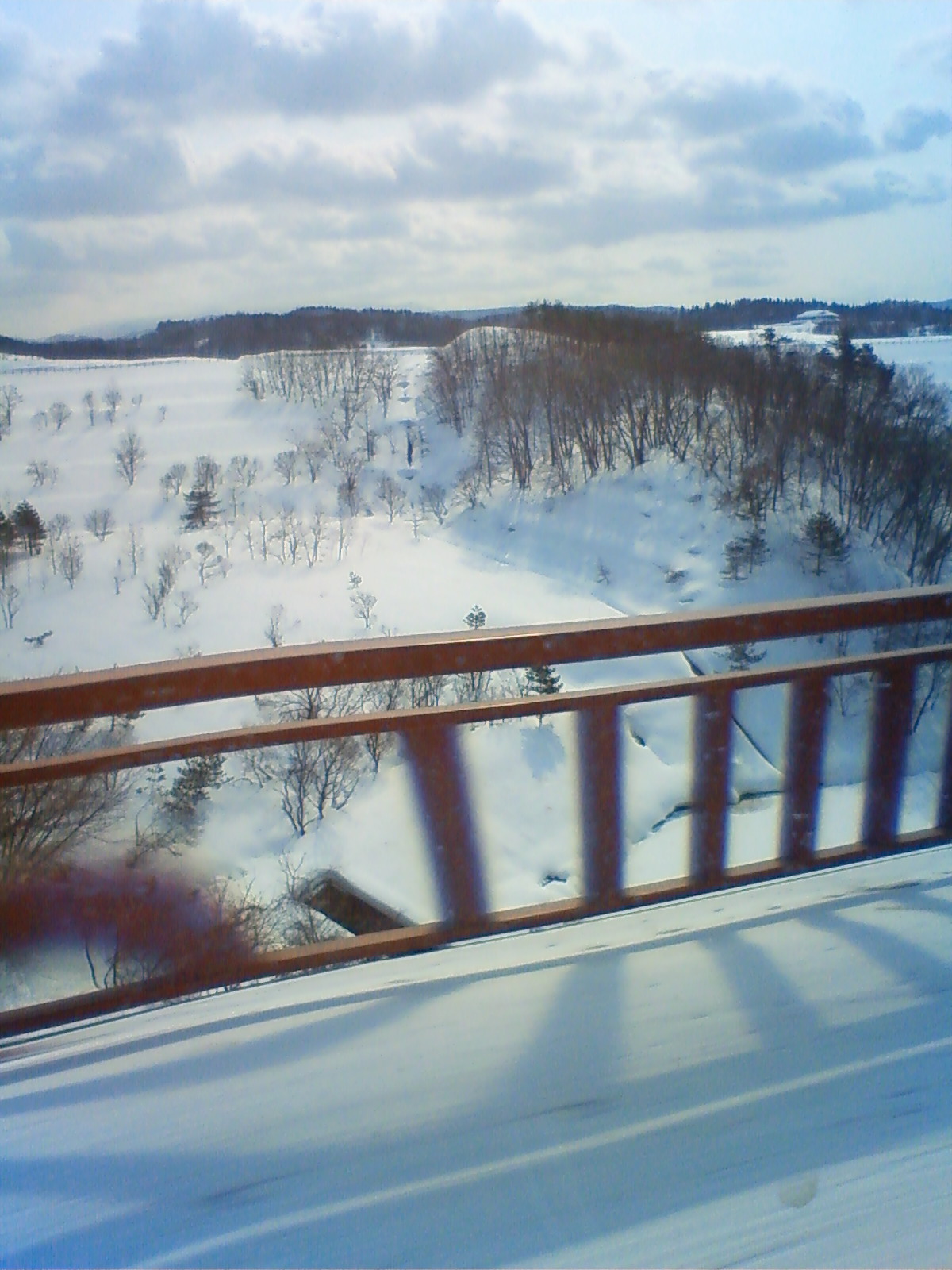 NEC_0369.JPG
