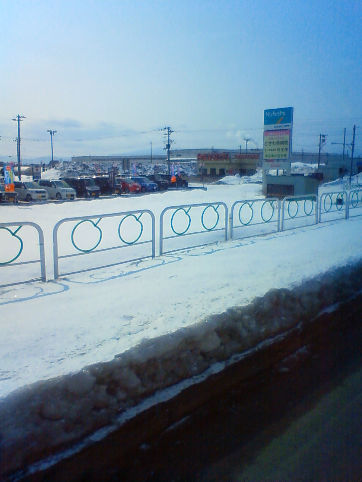 NEC_0376.JPG
