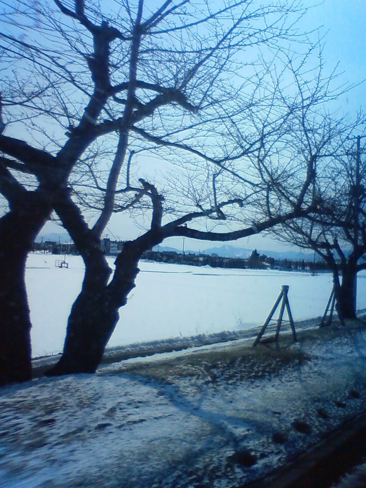 NEC_0381.JPG