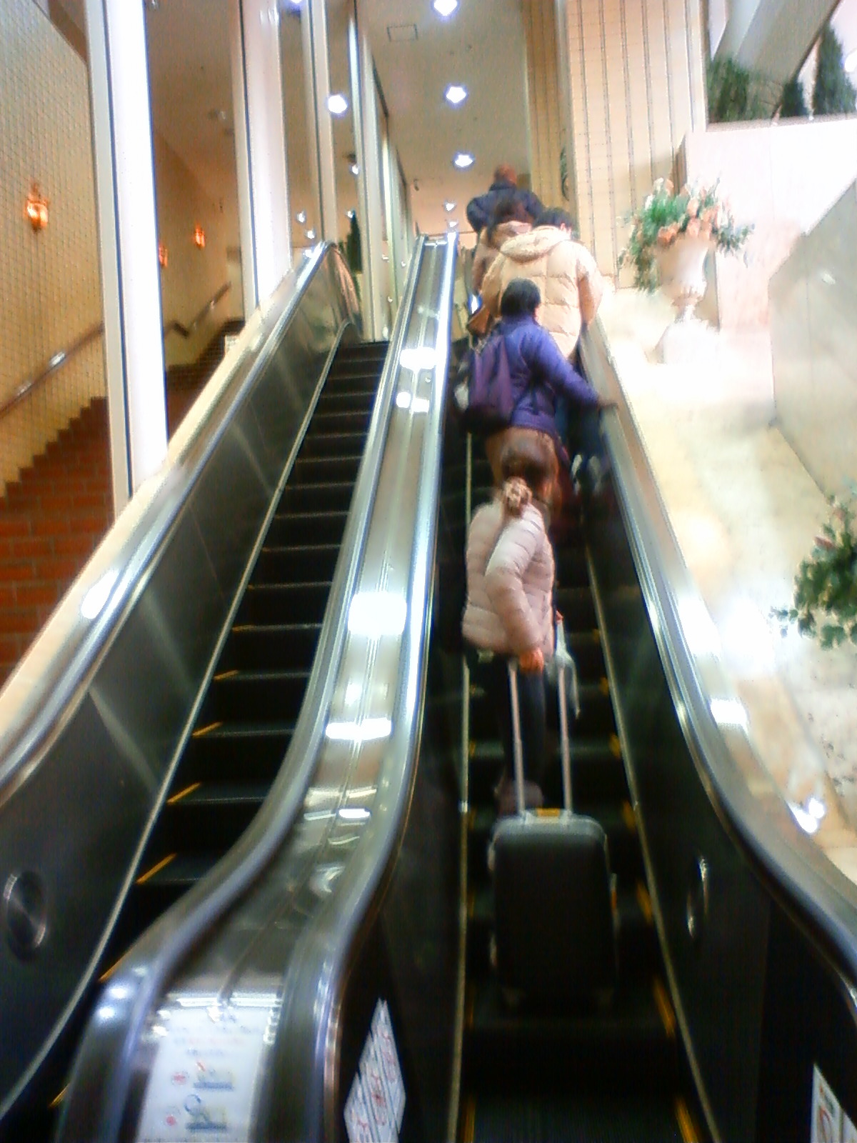 NEC_0410.JPG