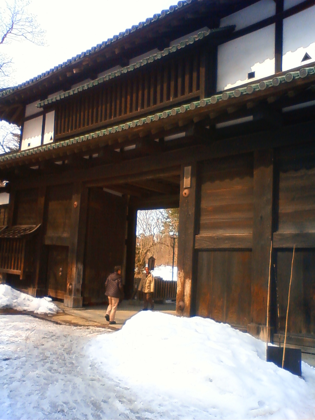 NEC_0420.JPG