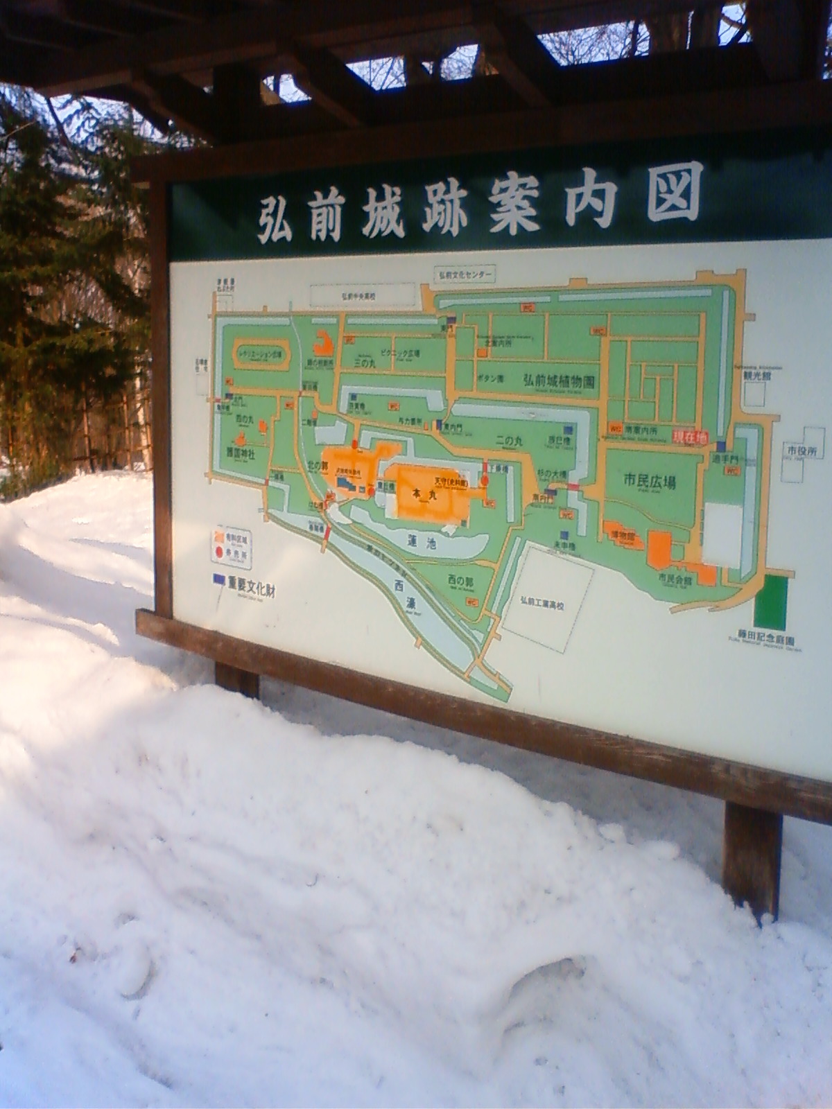 NEC_0421.JPG