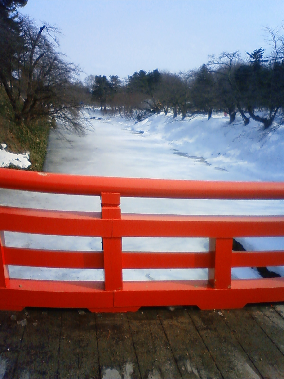 NEC_0426.JPG