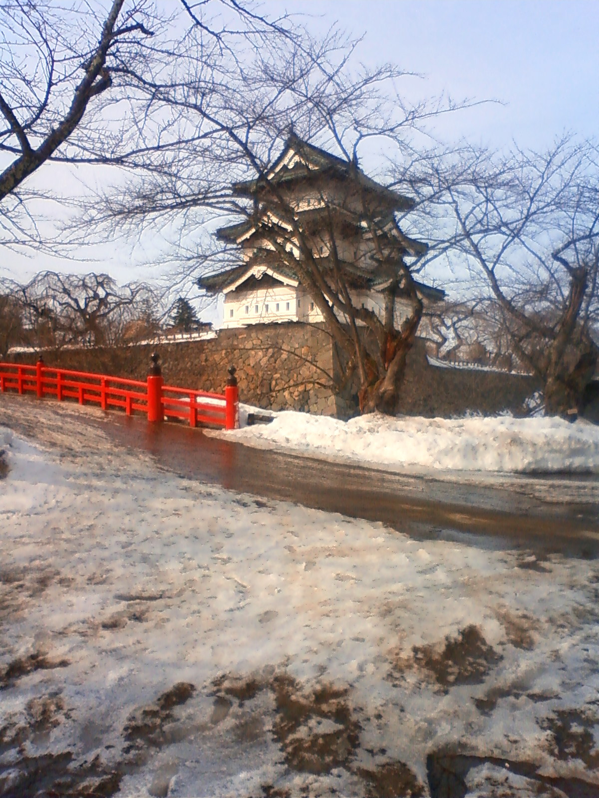 NEC_0430.JPG