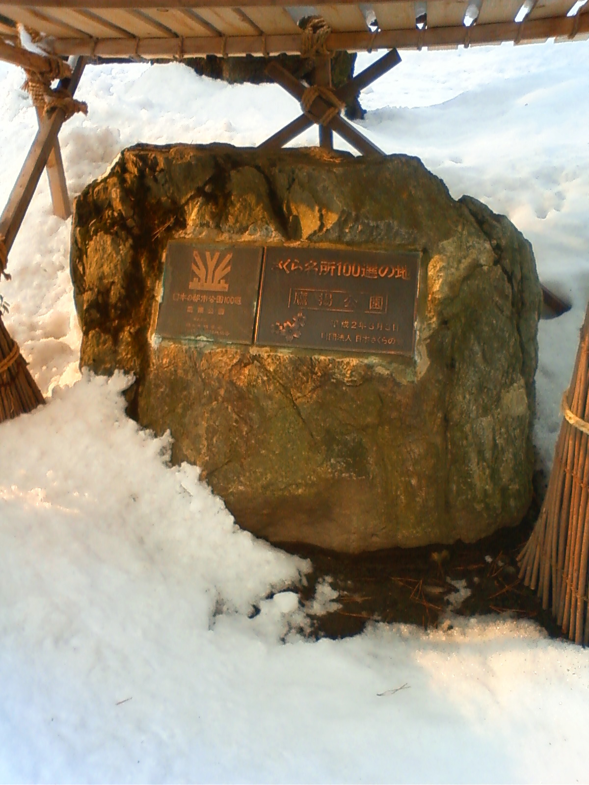 NEC_0439.JPG