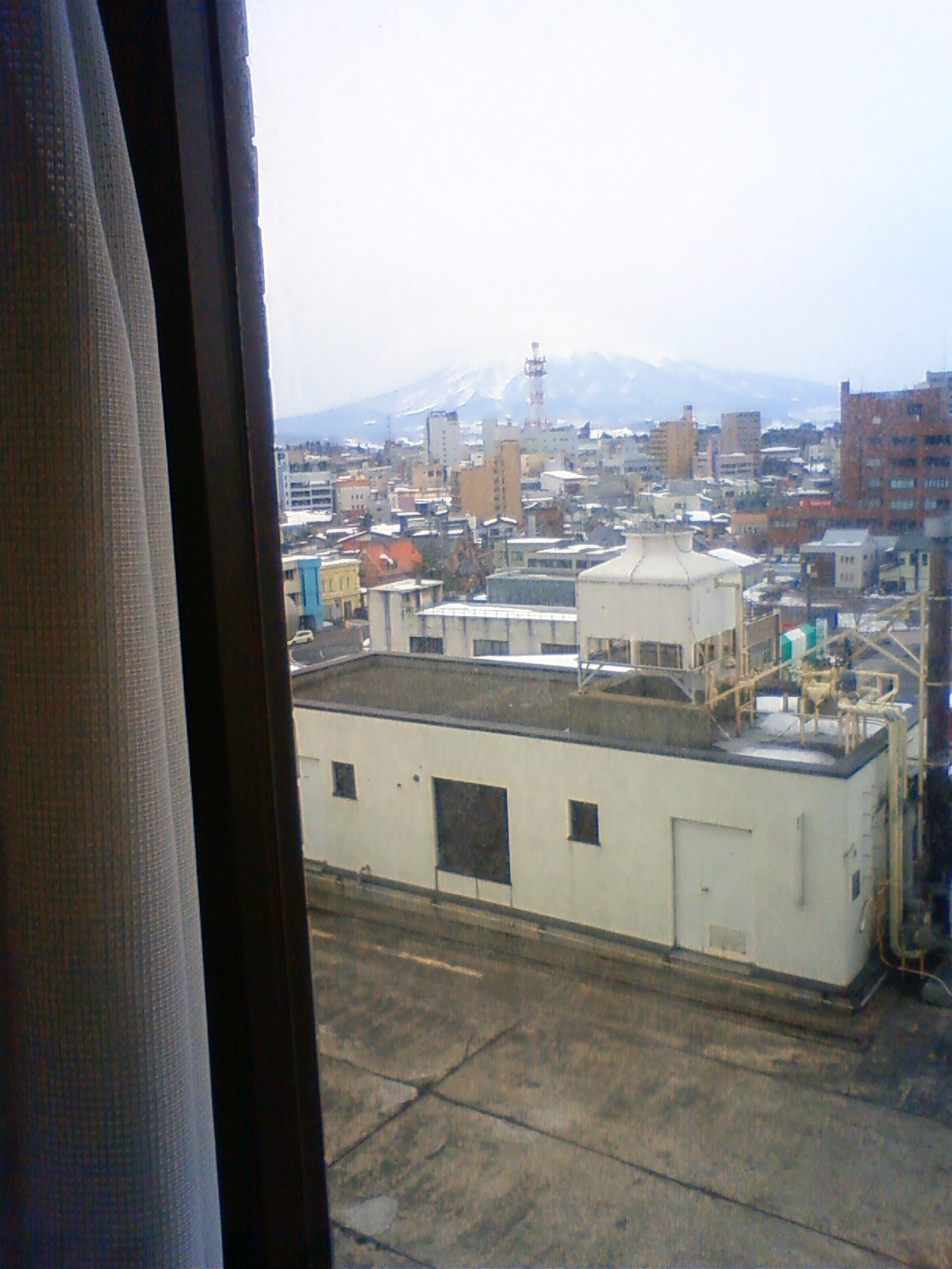 NEC_0446.JPG
