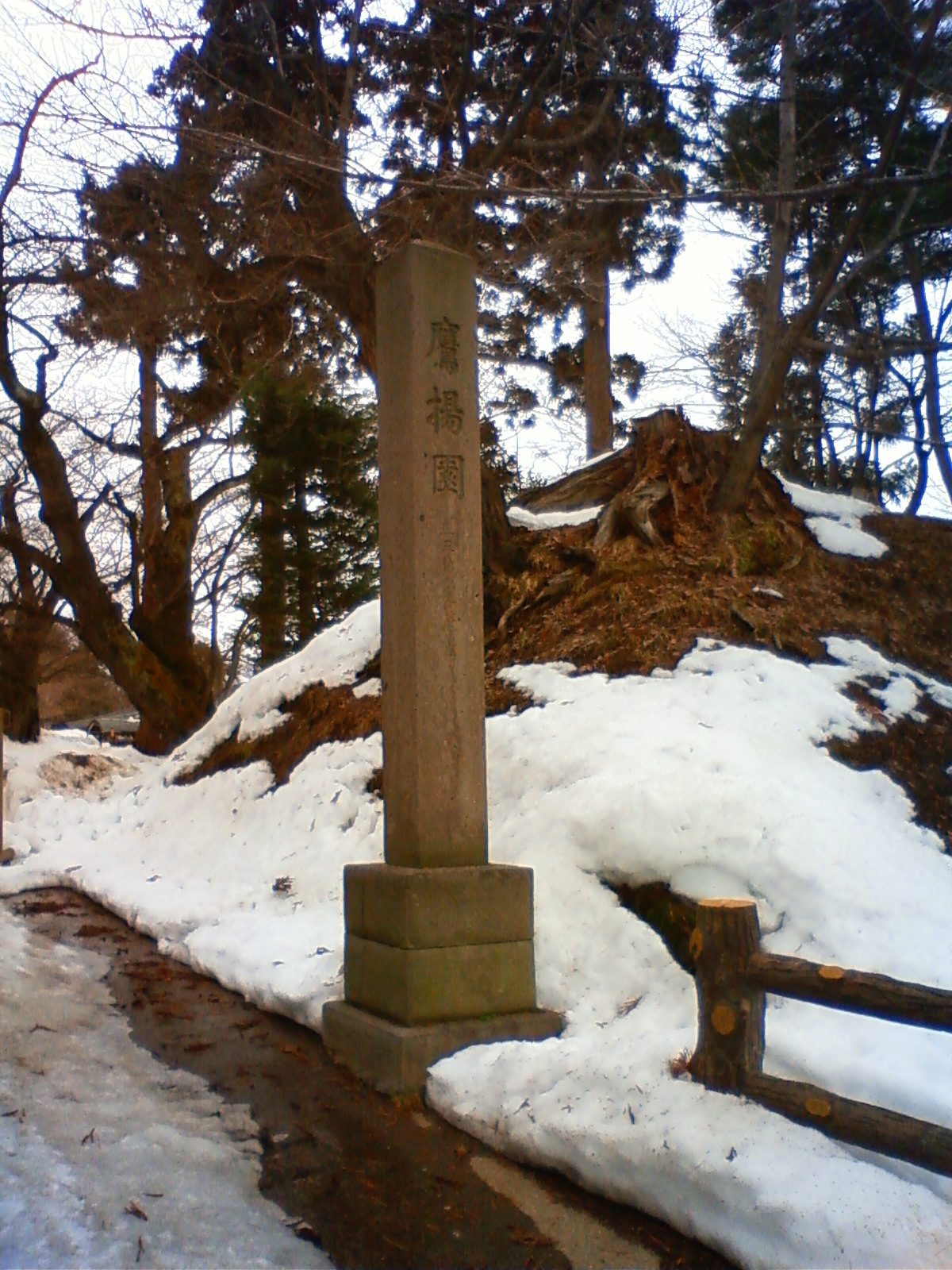 NEC_0460.JPG