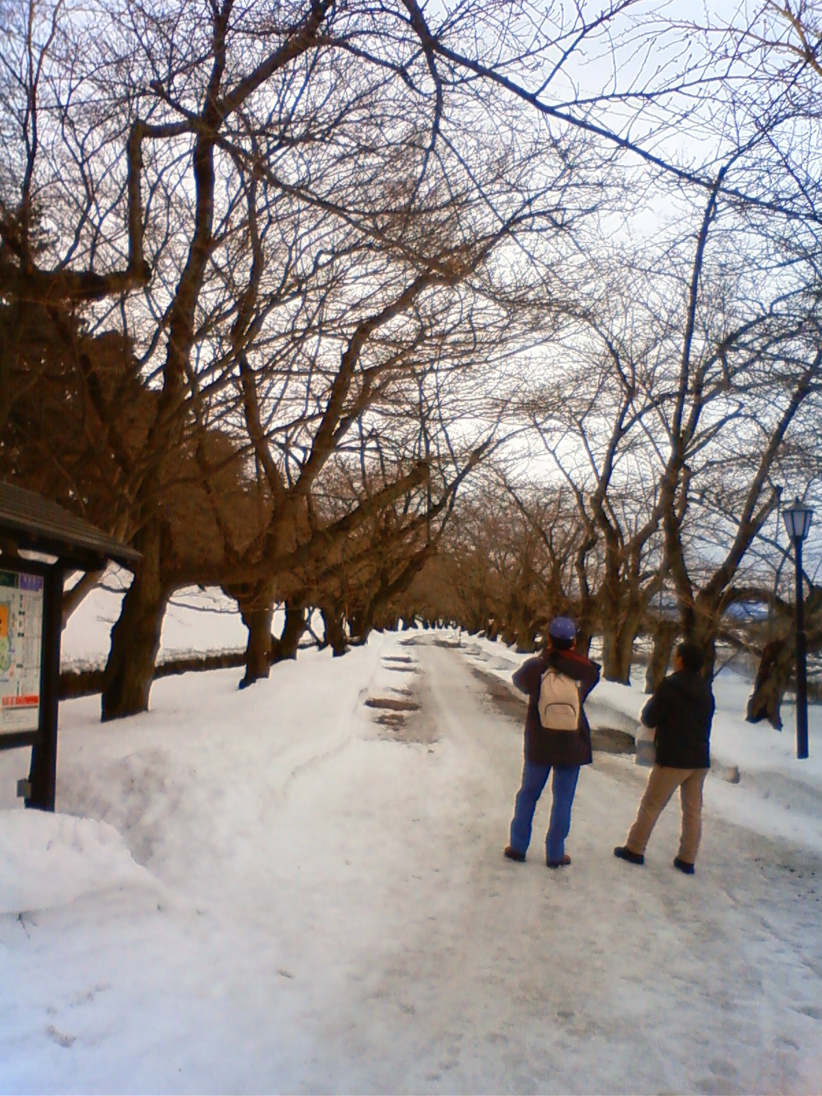 NEC_0461.JPG