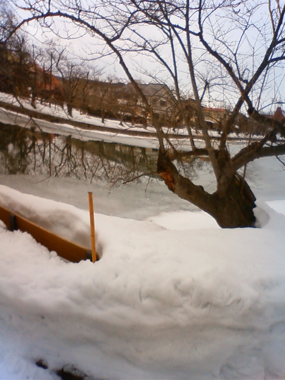 NEC_0462.JPG