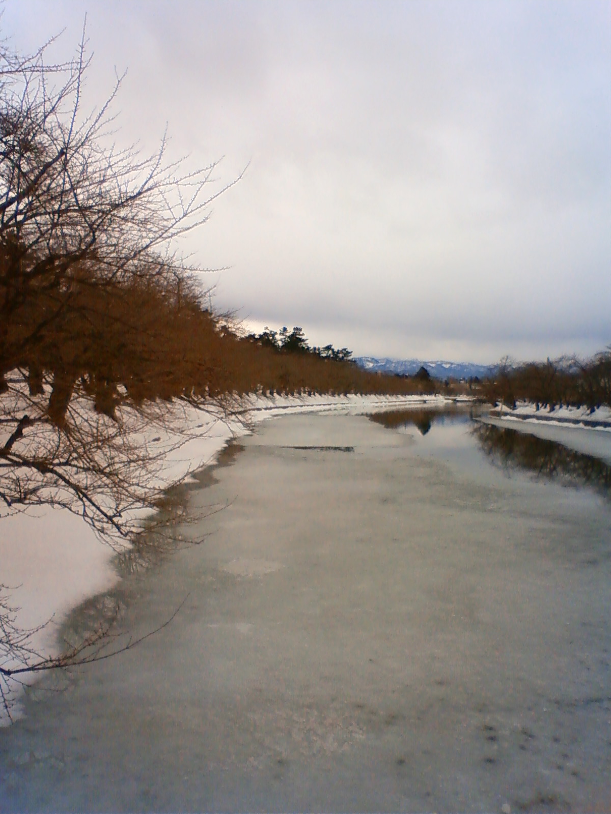 NEC_0463.JPG