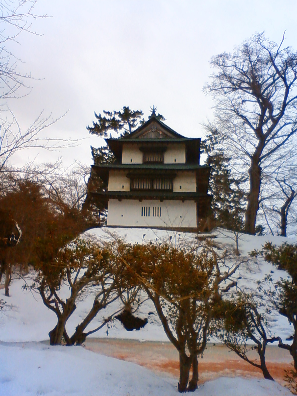 NEC_0468.JPG