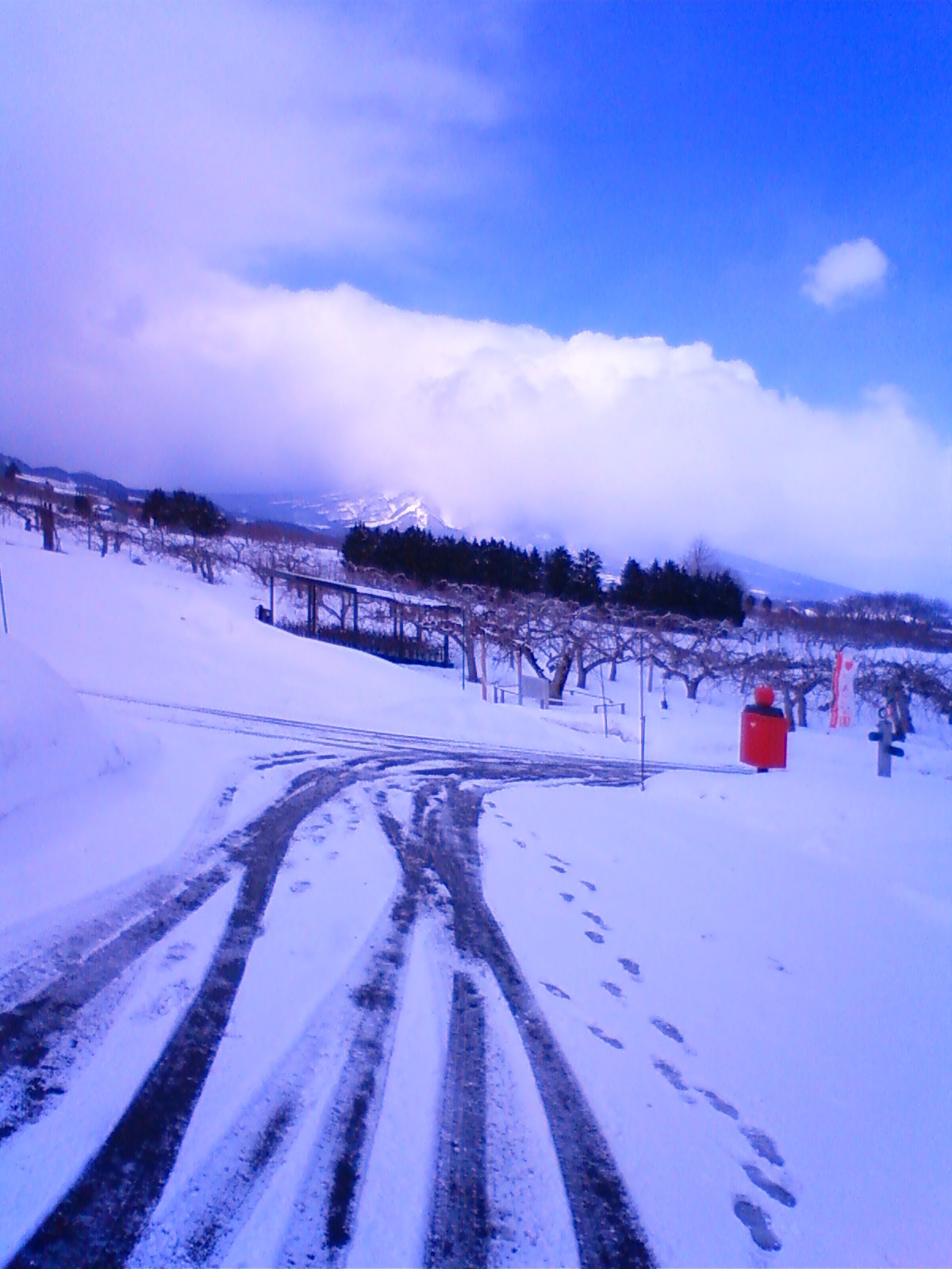 NEC_0471.JPG