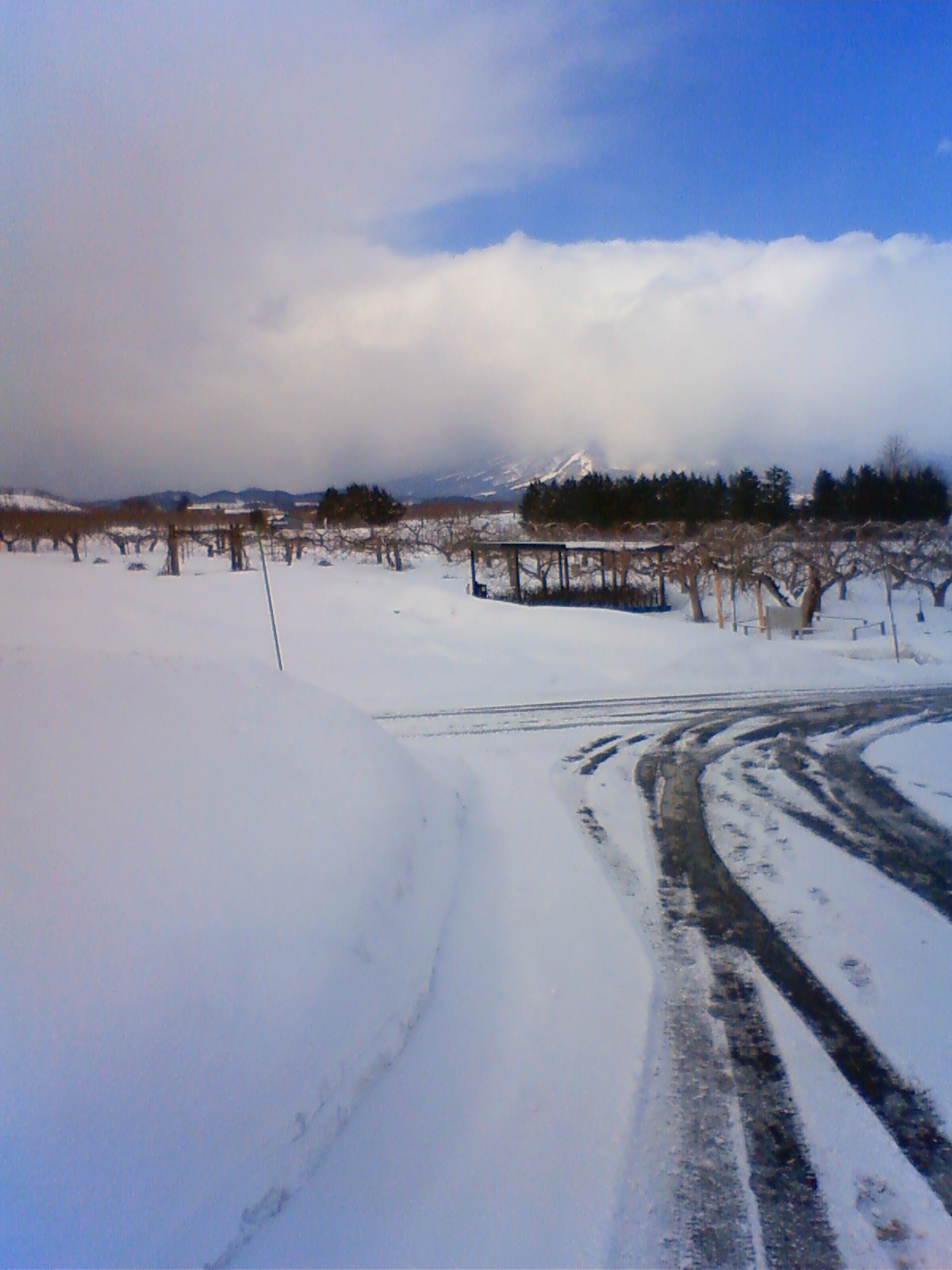 NEC_0474.JPG