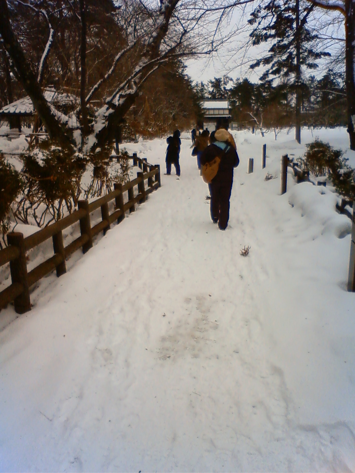 NEC_0475.JPG
