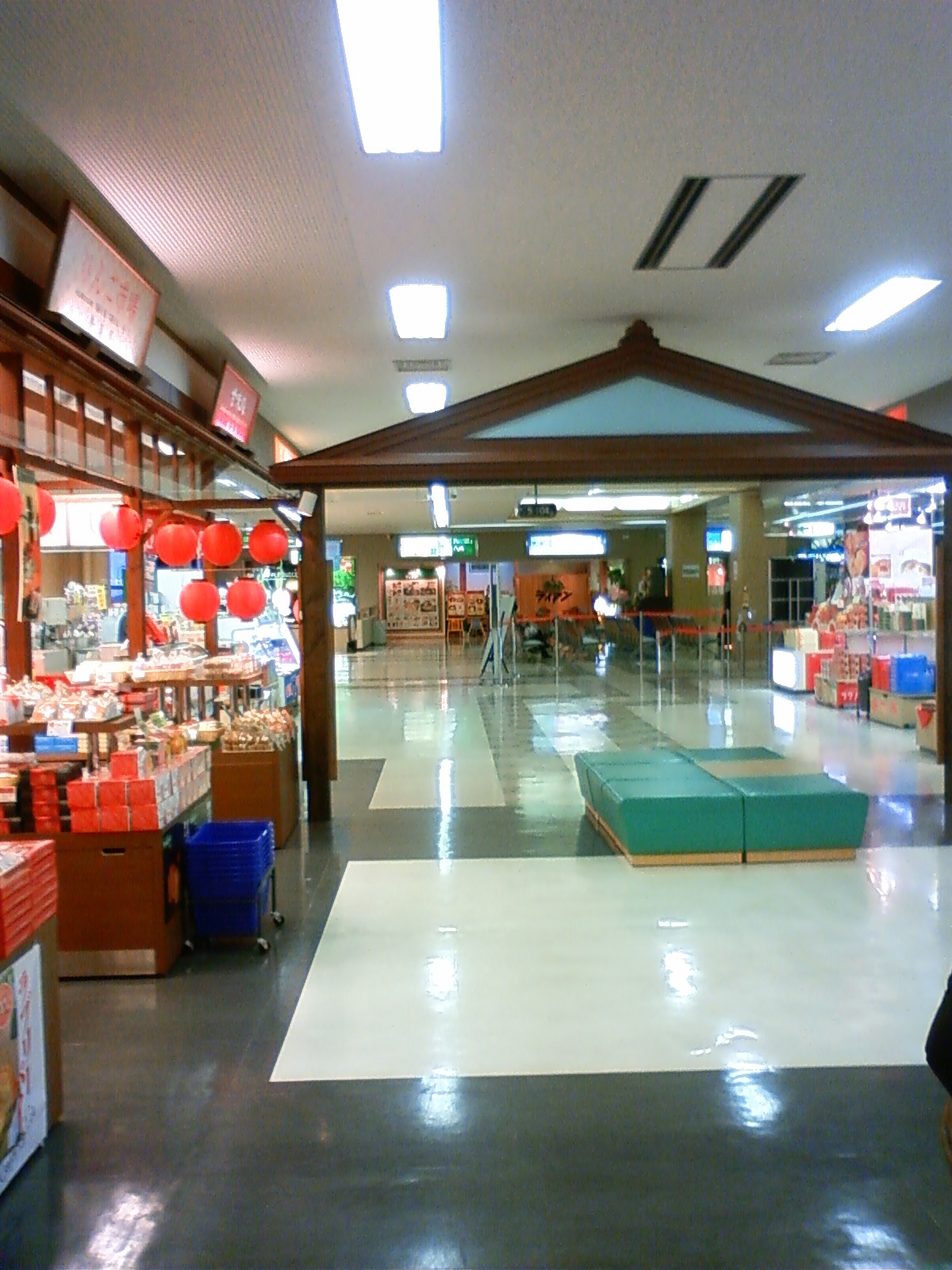 NEC_0487.JPG