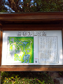 IMG_2024-11-22-11-00-43-161_thumb.png