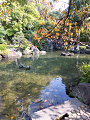 IMG_2024-11-22-11-03-18-452_thumb.png
