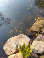 IMG_2024-11-22-11-07-39-835_thumb.png