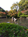 IMG_2024-11-22-11-08-14-127_thumb.png