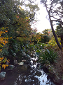 IMG_2024-11-22-11-08-42-248_thumb.png