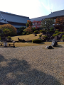 IMG_2024-11-22-11-13-11-286_thumb.png