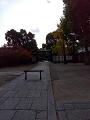 IMG_2024-11-22-11-20-53-761_thumb.png