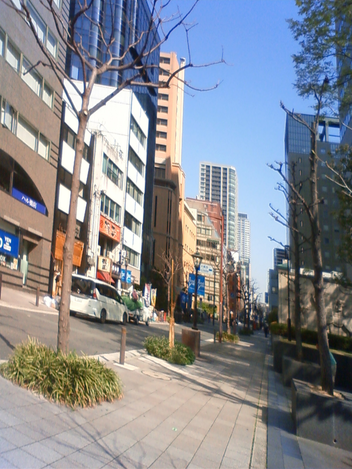 NEC_1020.JPG