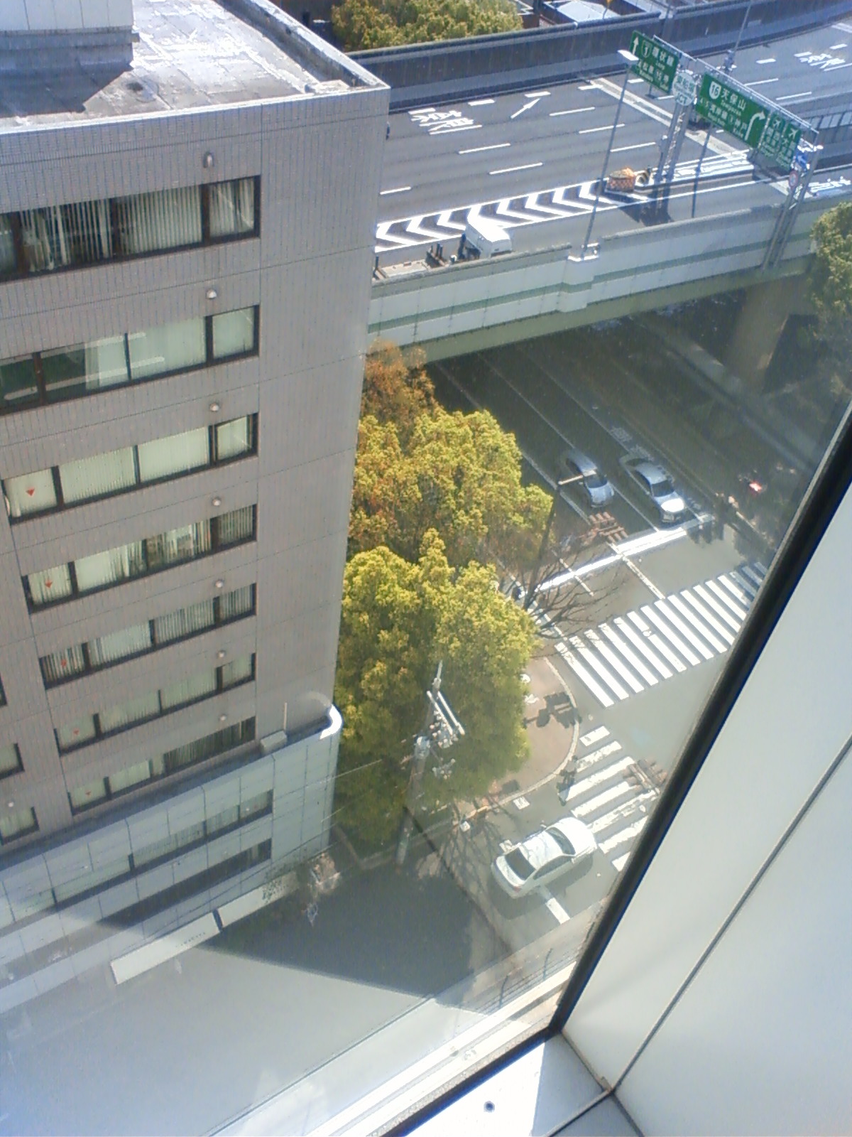 NEC_1029.JPG