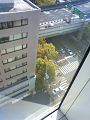 NEC_1029_thumb.png