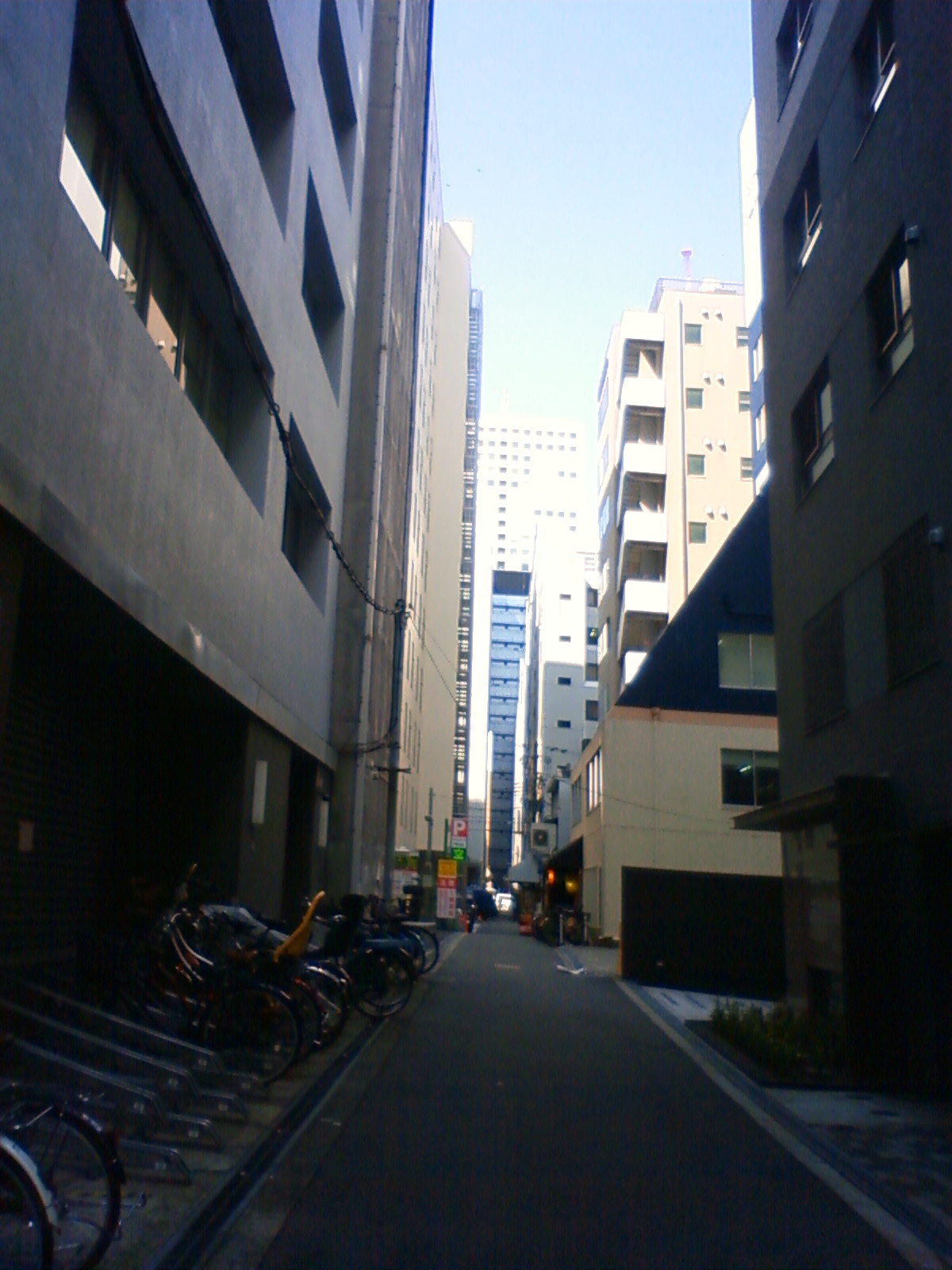 NEC_1039.JPG
