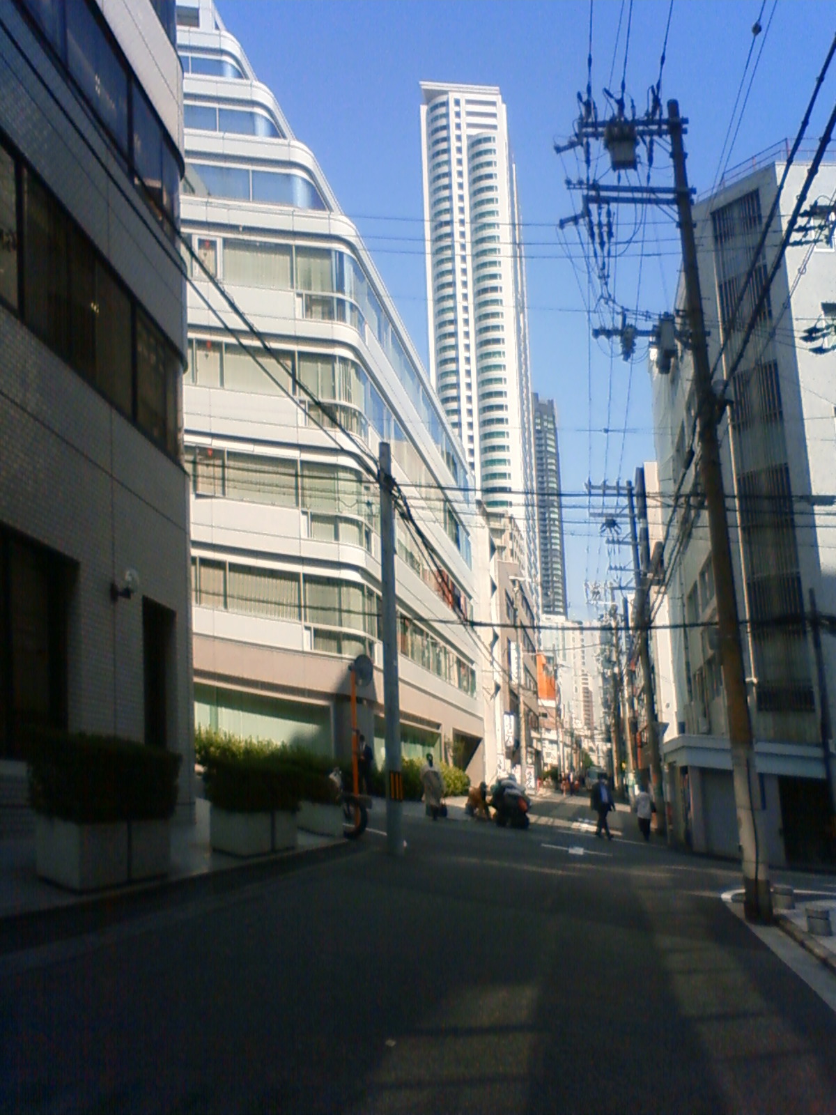 NEC_1040.JPG