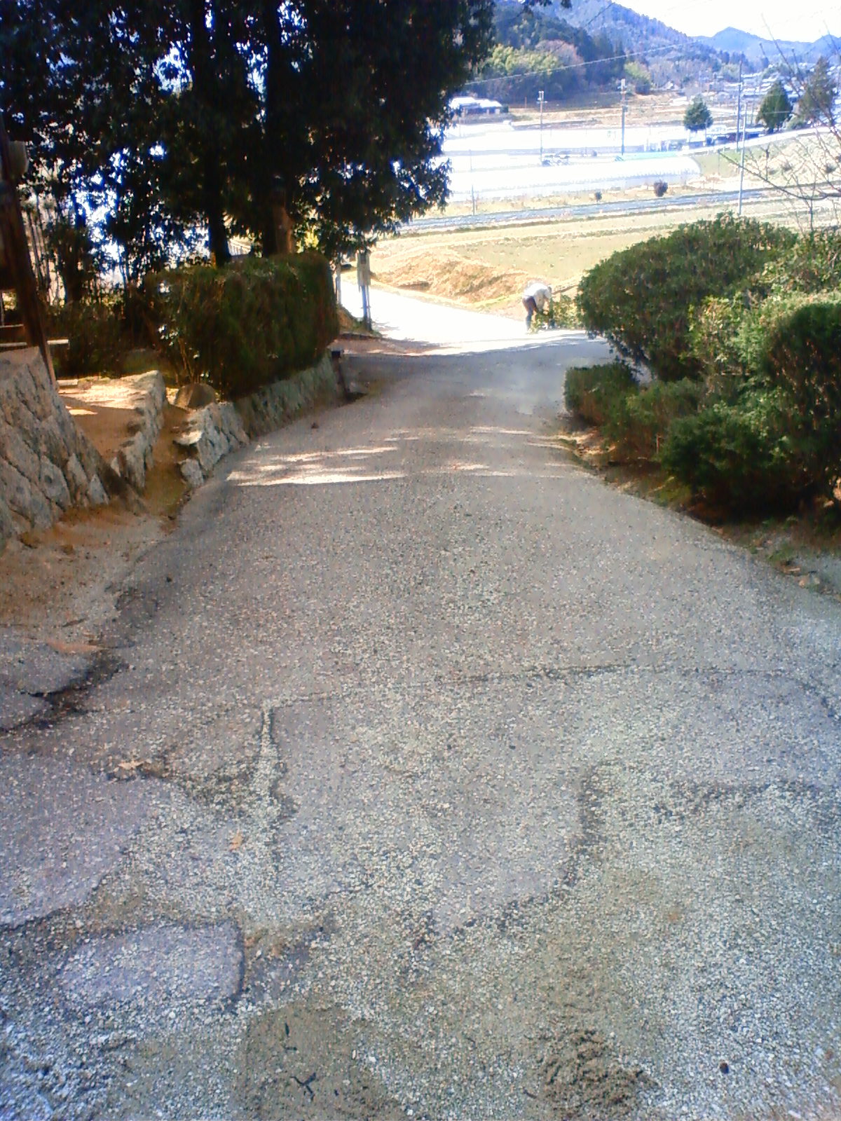 NEC_0532.JPG