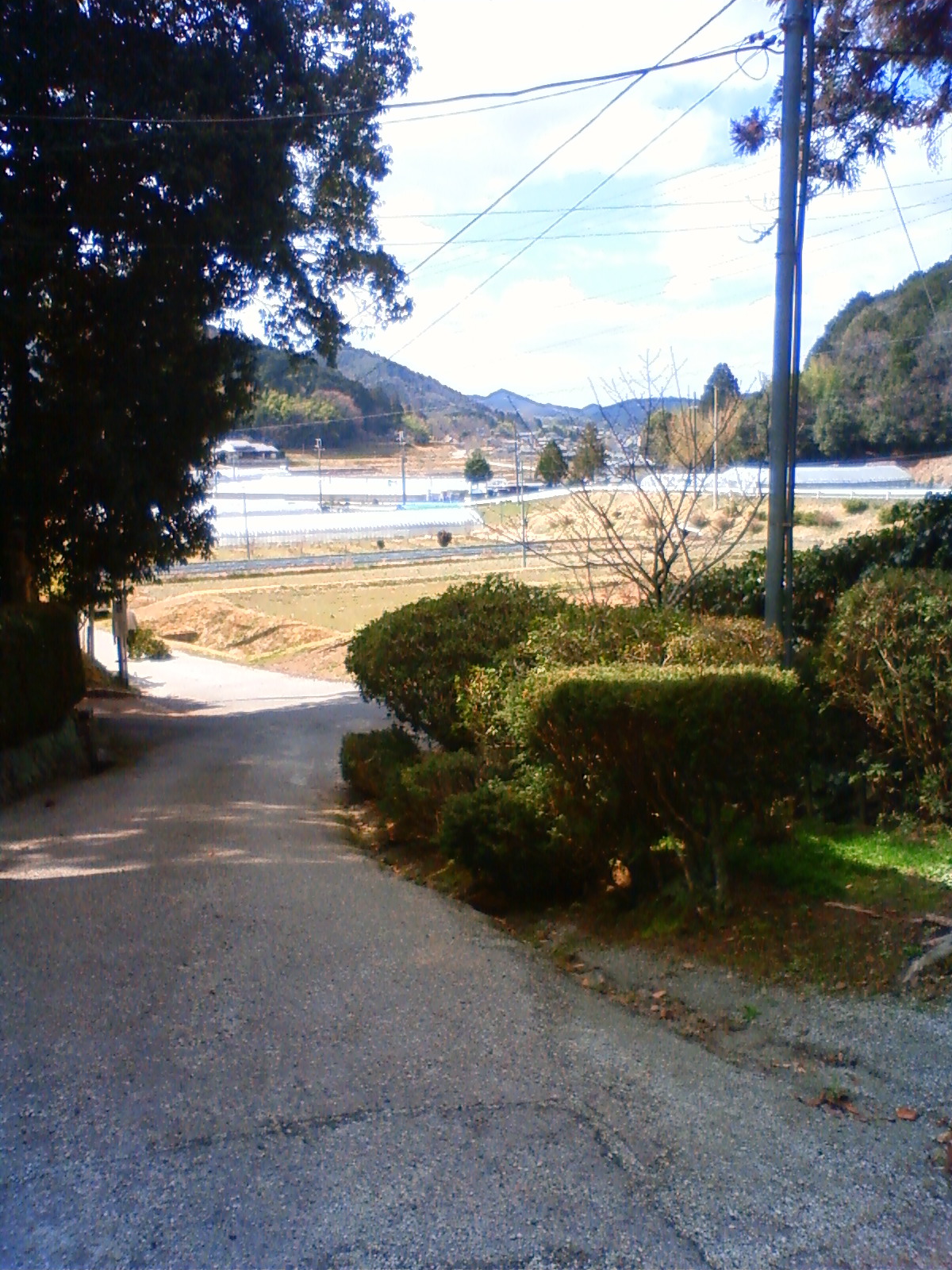 NEC_0533.JPG