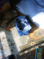 NEC_0913_thumb.png