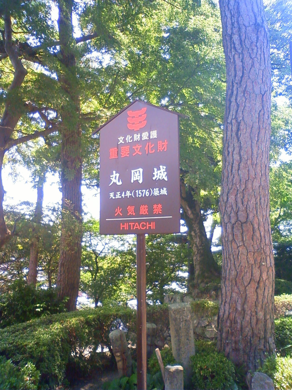 NEC_2329.JPG