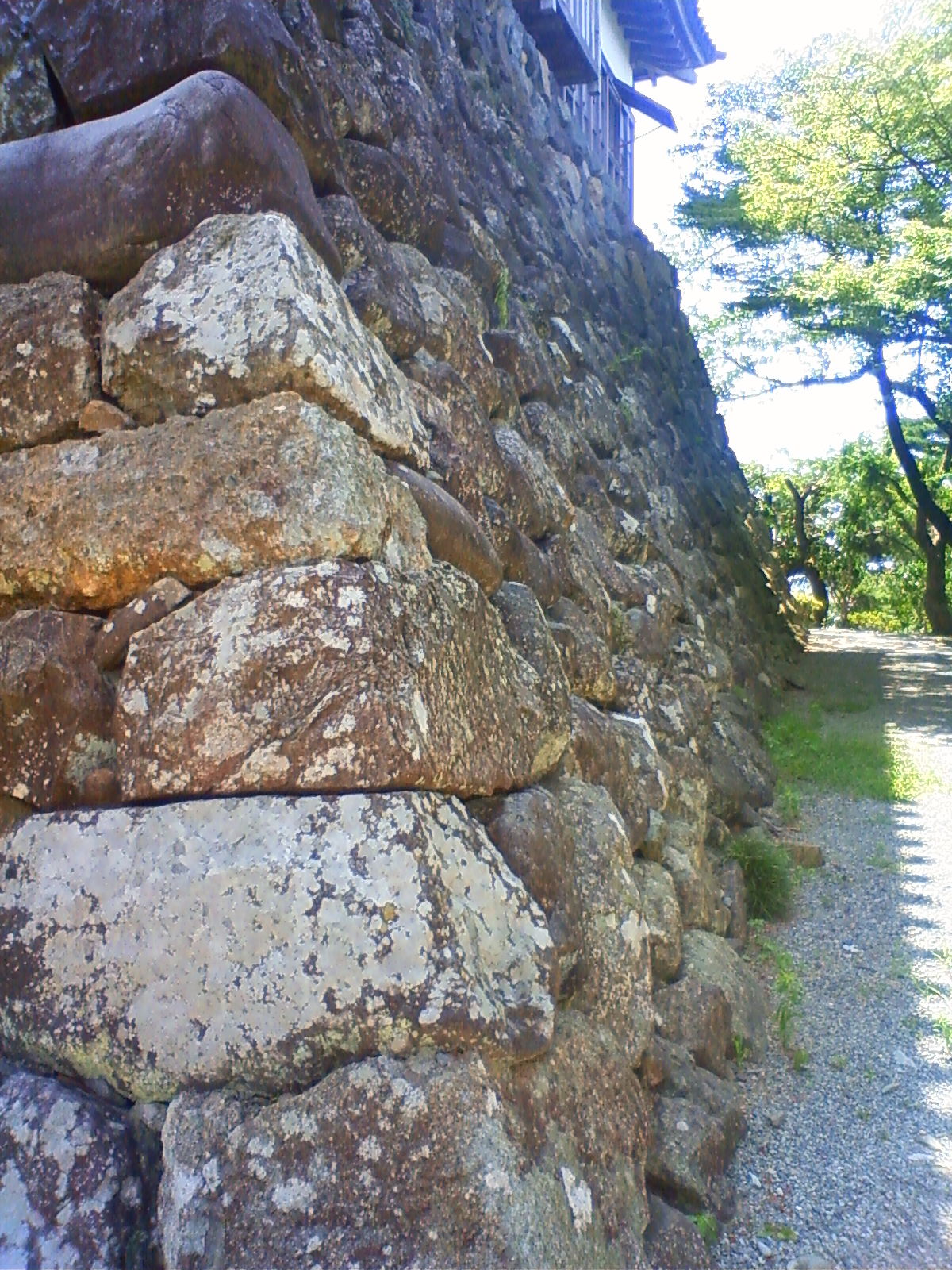 NEC_2342.JPG
