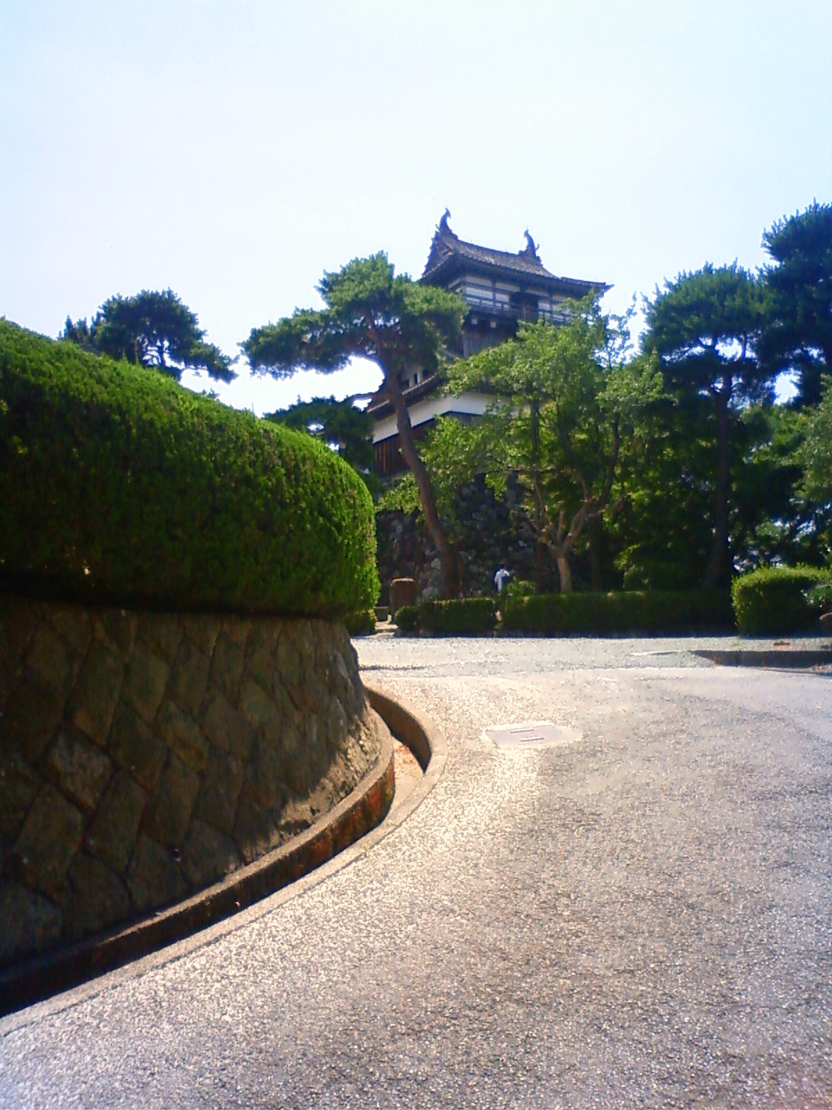 NEC_2343.JPG