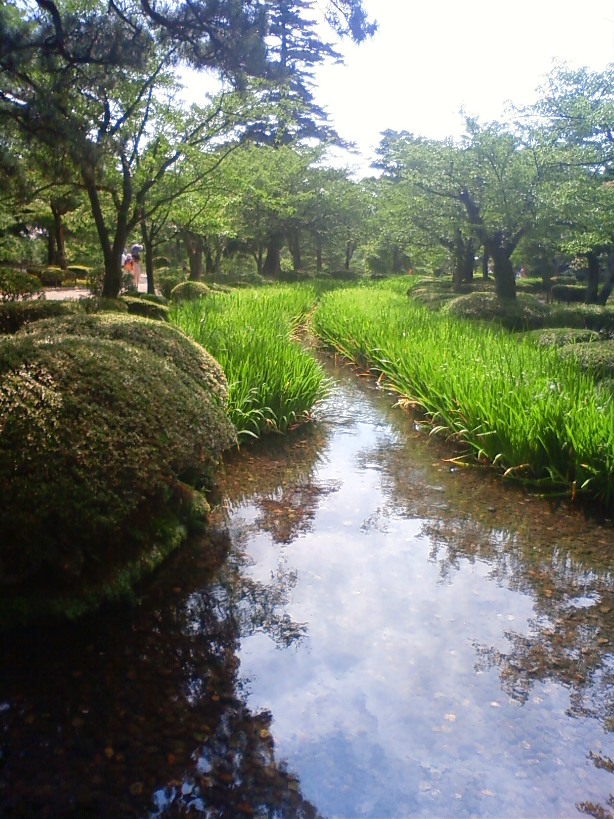 NEC_2355.JPG