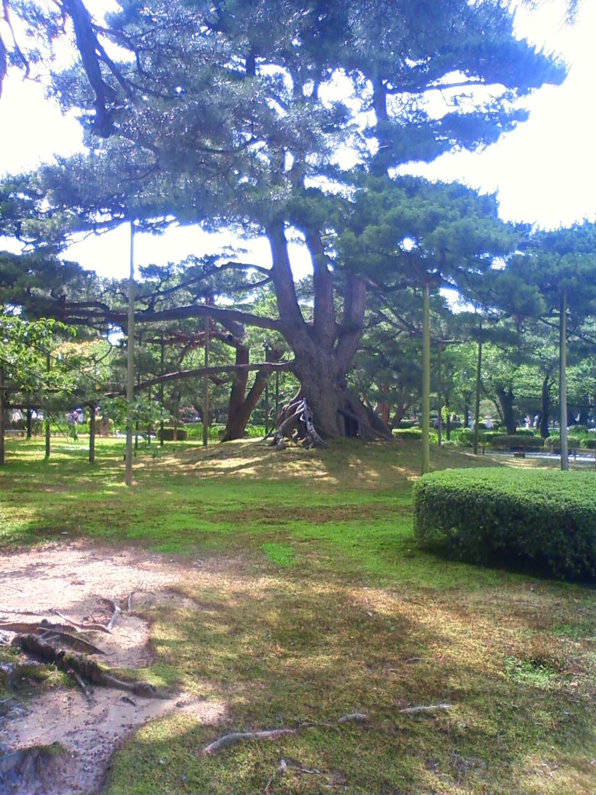 NEC_2357.JPG