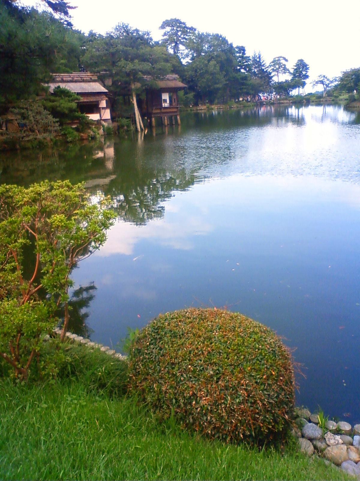 NEC_2369.JPG