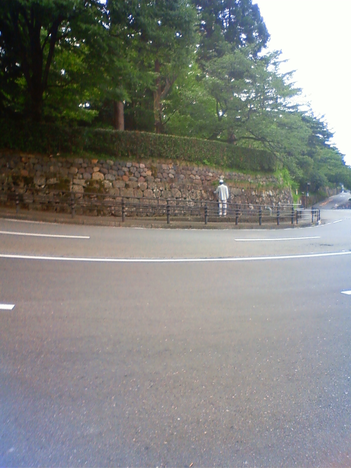 NEC_2373.JPG