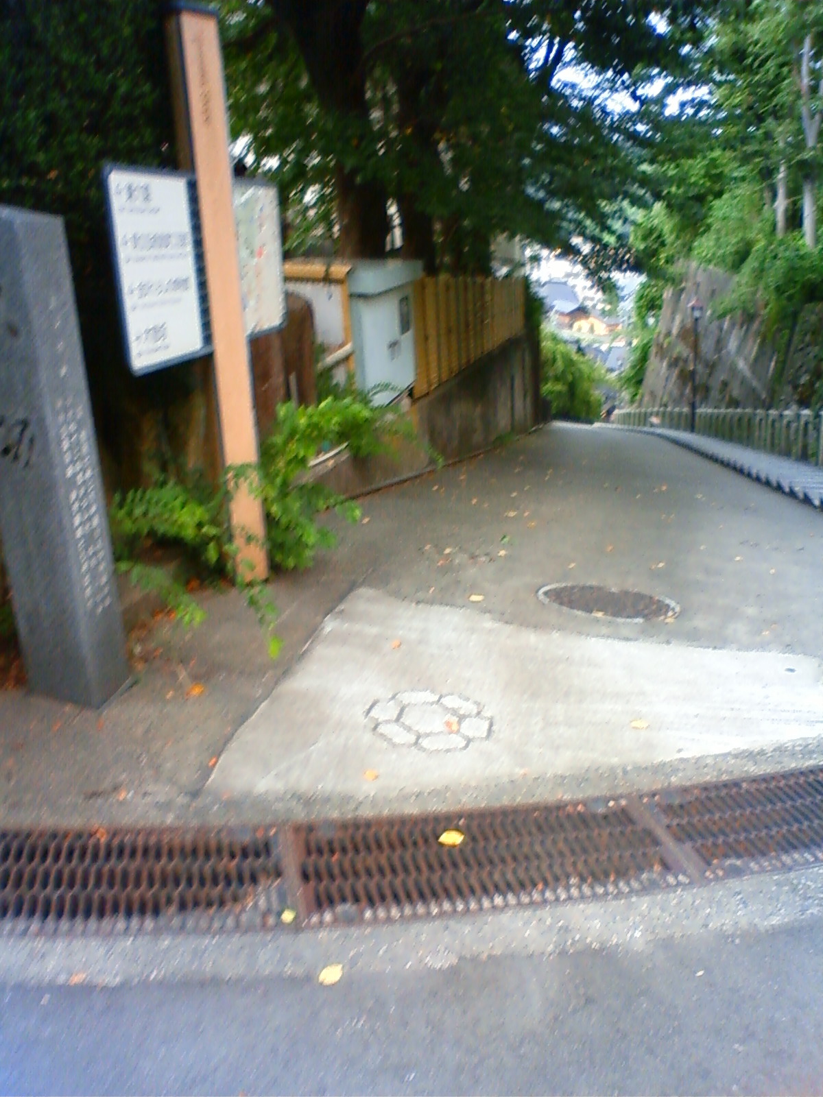 NEC_2374.JPG